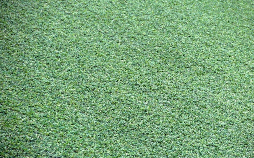 Are Your Employee’s Astroturfing For You?